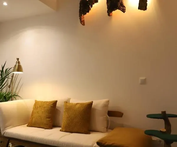 Nature Cosy Private House,w/ac Downtown Near Metro *