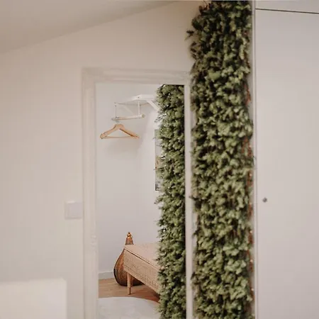 公寓 Nature Cosy Private House,w/ac Downtown Near Metro 波尔图